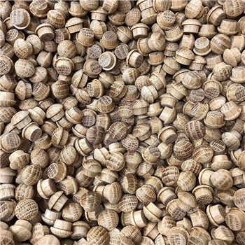 Oak Mushroom caps available in x2 sizes