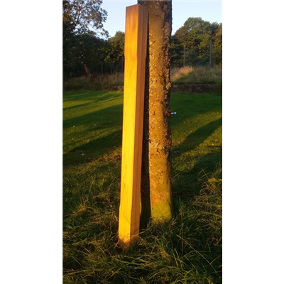 Accoya Wood Stop Bevelled-Chamfered