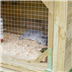 pet rabbit hutch