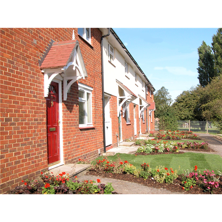 quality timber canopy