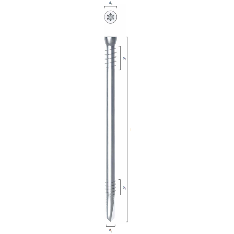 dowel with measurements
